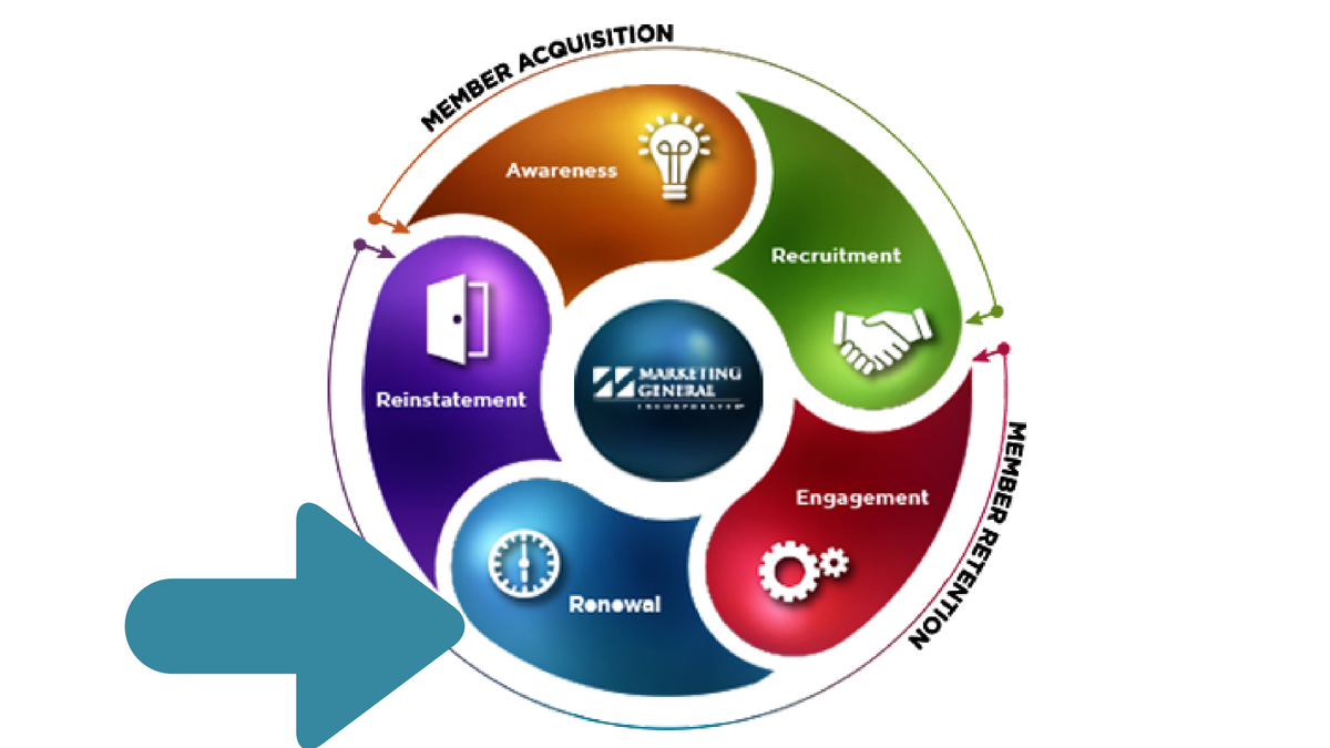 Membership 101 Effective Renewal Cycles Spark Consulting