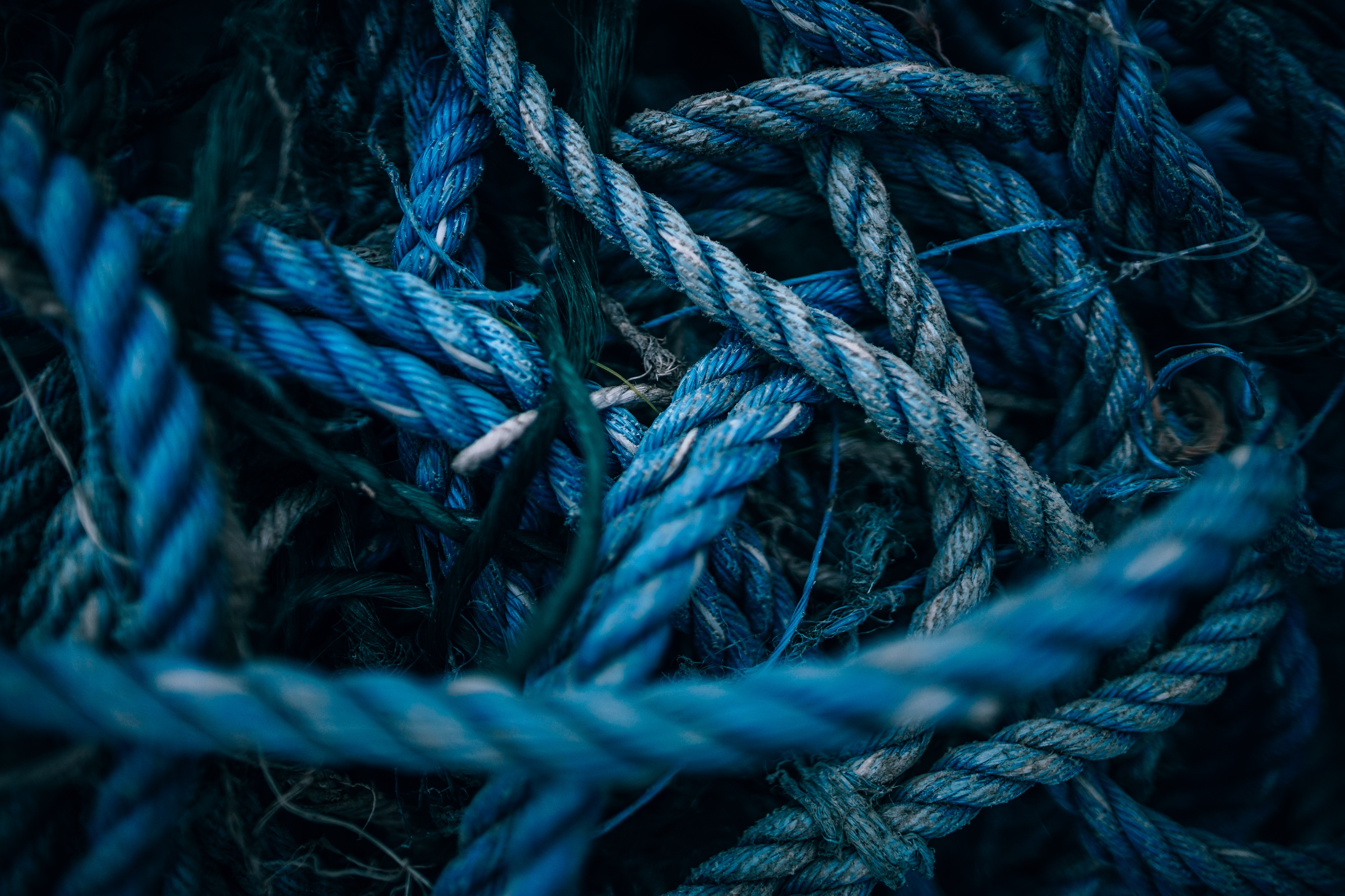 pile of tangled blue ropes